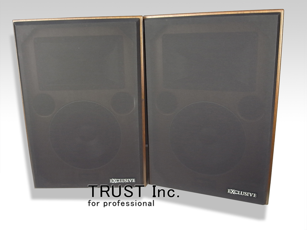 Model 2251 / Professional Studio Monitor(Exclusive)【中古放送用