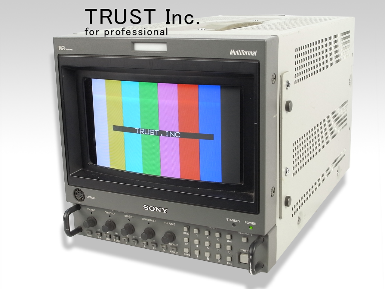 SONY BVM-D9H1J 放送業務用 マルチフォーマットモニタ SONY ☆SONY BVM