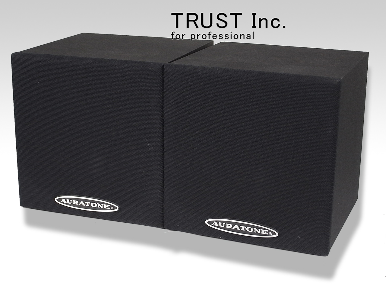 5PSC / PRIMO SOUND CUBE Speaker【中古放送用・業務用 映像機器・音響