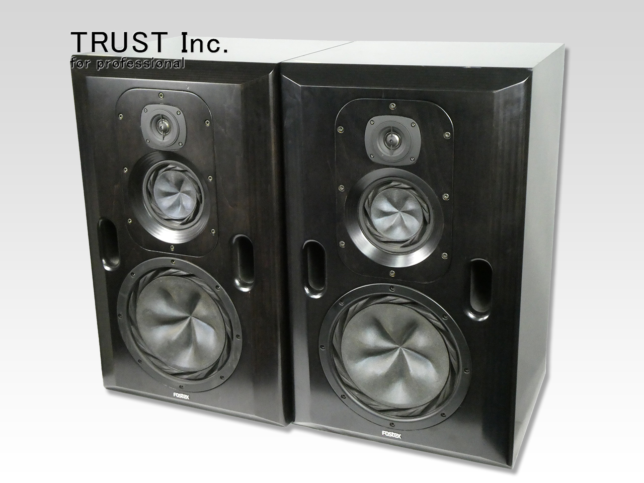 △激レア FOSTEX RS-N2のオーダー品 RS-2S ペア スタンド付き △激レア FOSTEX RS-N2のオーダー品 RS-2S ペア スタンド付き