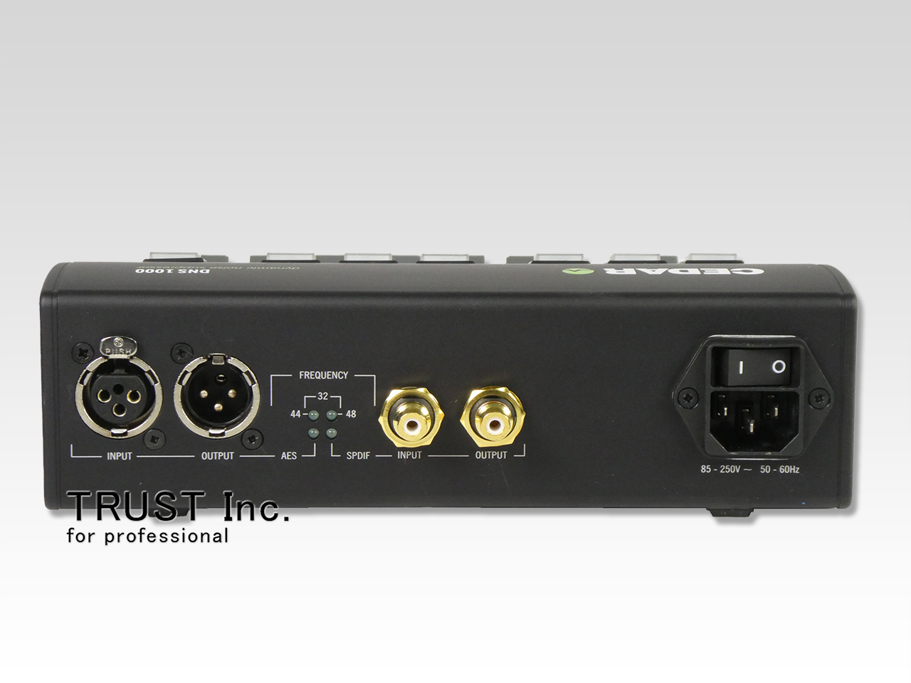 【希少】CEDAR ノイズサプレッサー DNS1000 背景ノイズを驚く効果で除去してくれるノイズサプレッサーCEDAR