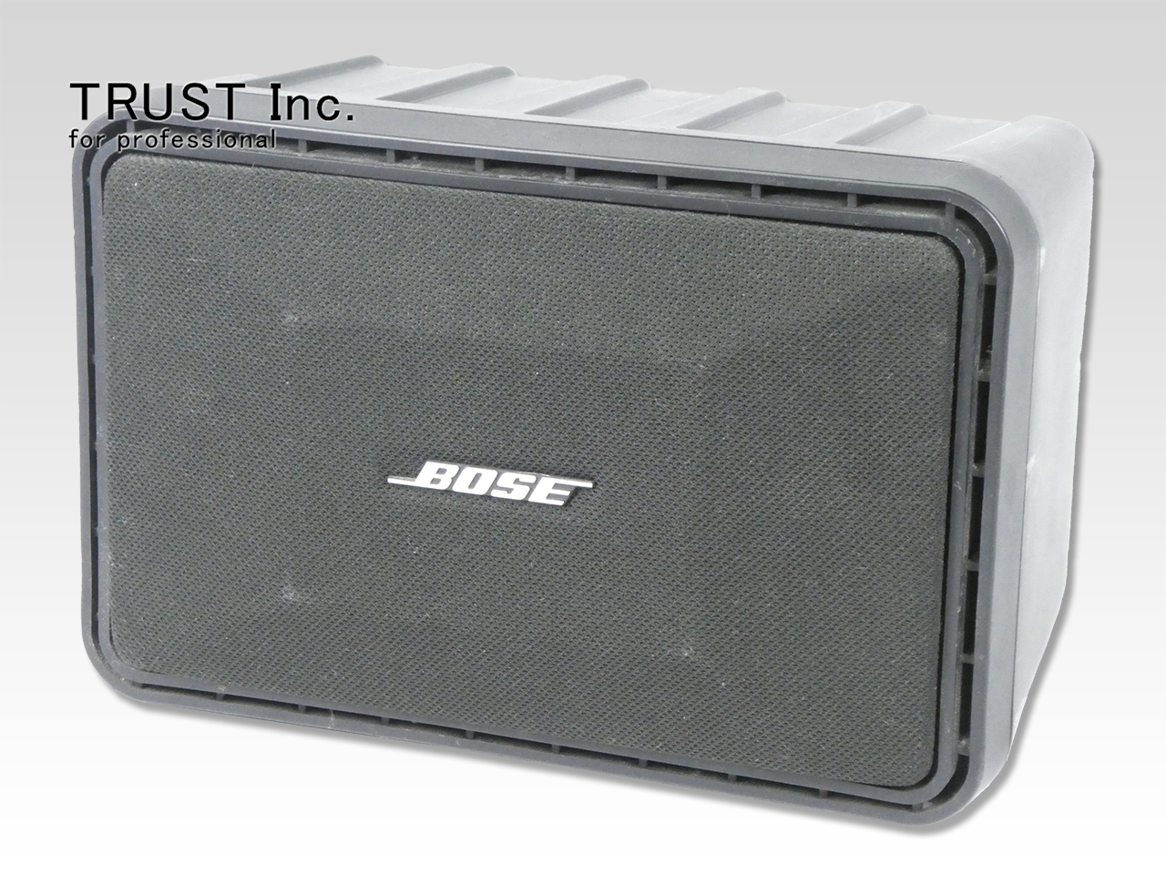 bose 101mm