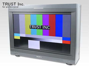 BVM-L231