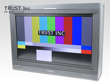 BVM-L231