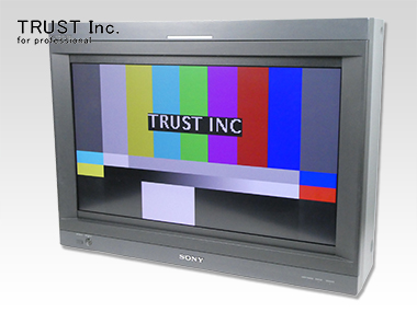 BVM-L231