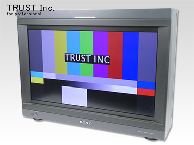 BVM-L231