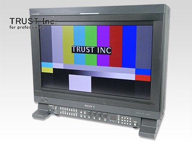 BVM-L231
