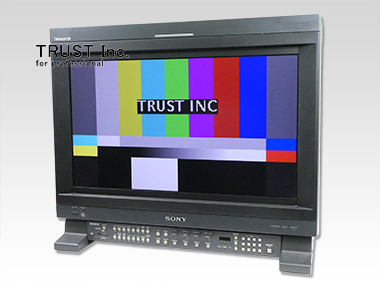 BVM-L231